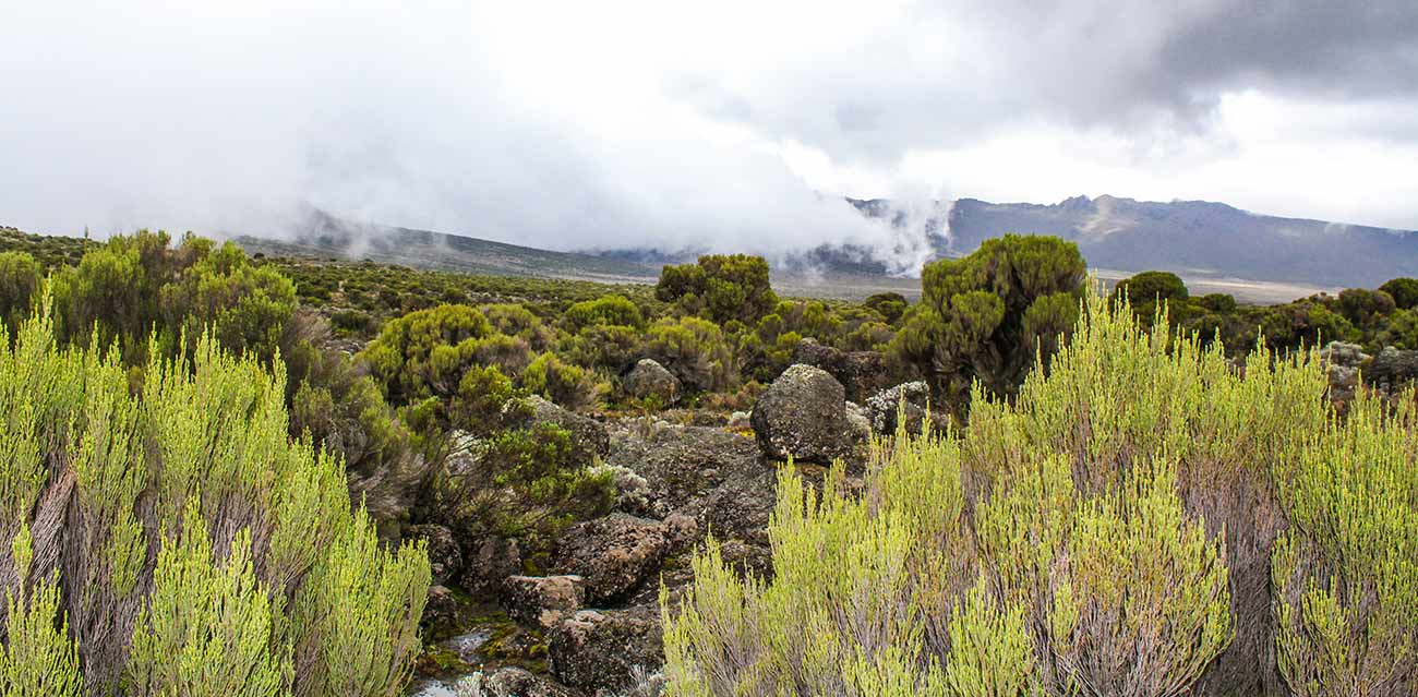 tanzania camping safari