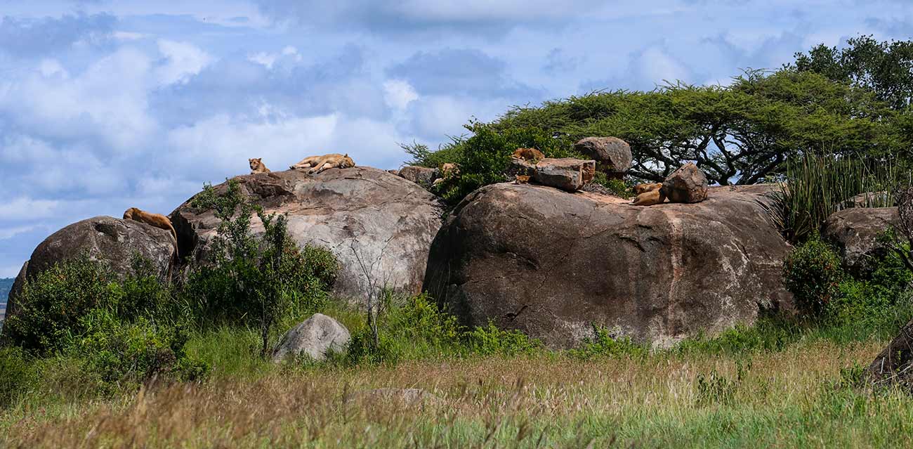 tanzania