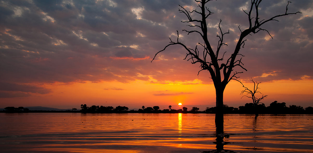 selous safaris
