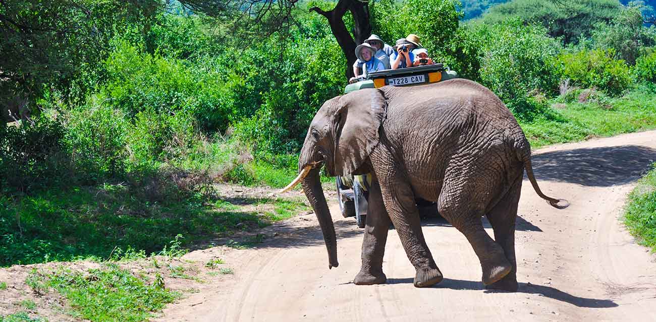 africa holiday safari