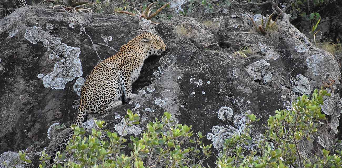 tanzania tours