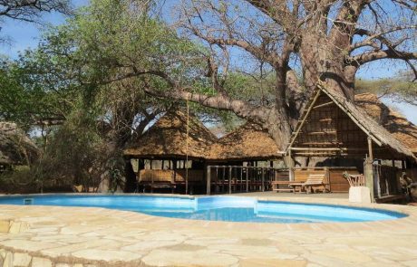 ruaha tandala camp