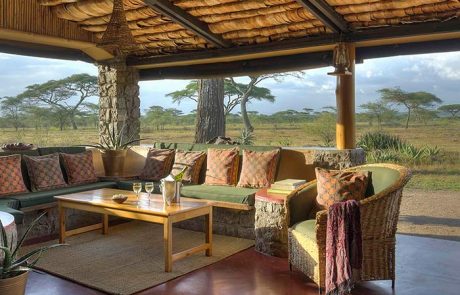 ndutu safari lodge contacts