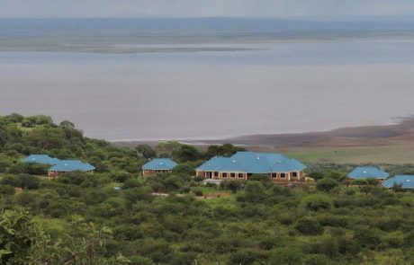flamingo safari lodge