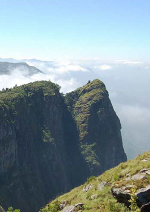 eastern-arch-mountains-ranges-thumb