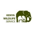 kenya wildlife service