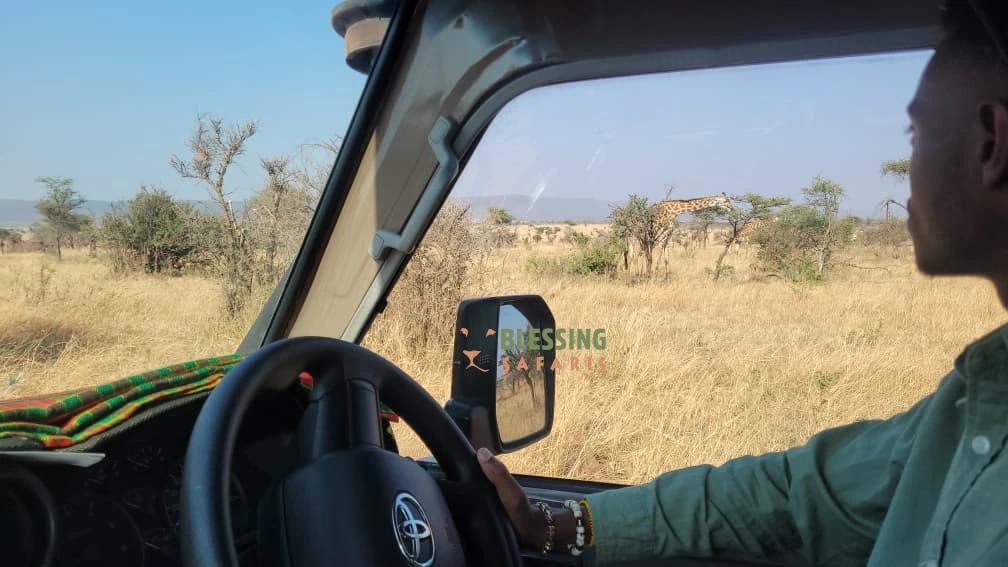 tanzania safari cost