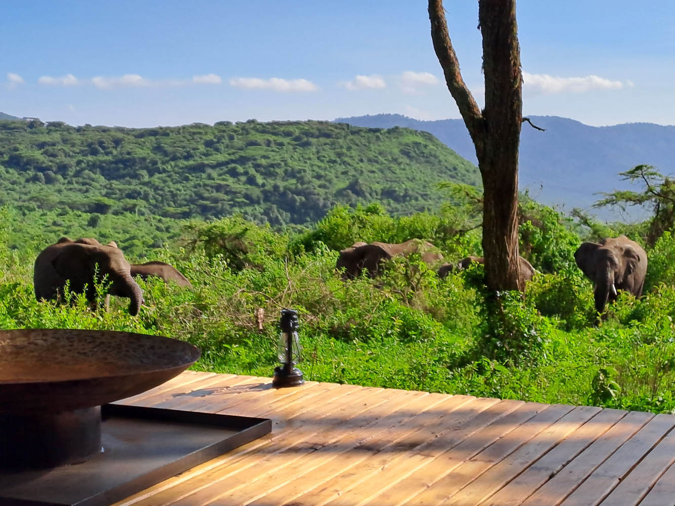 Wilderness-Collection_0029