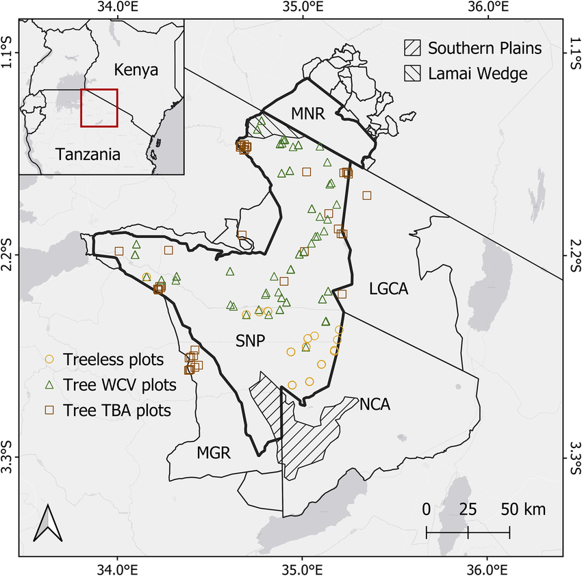 lamai wedge serengeti