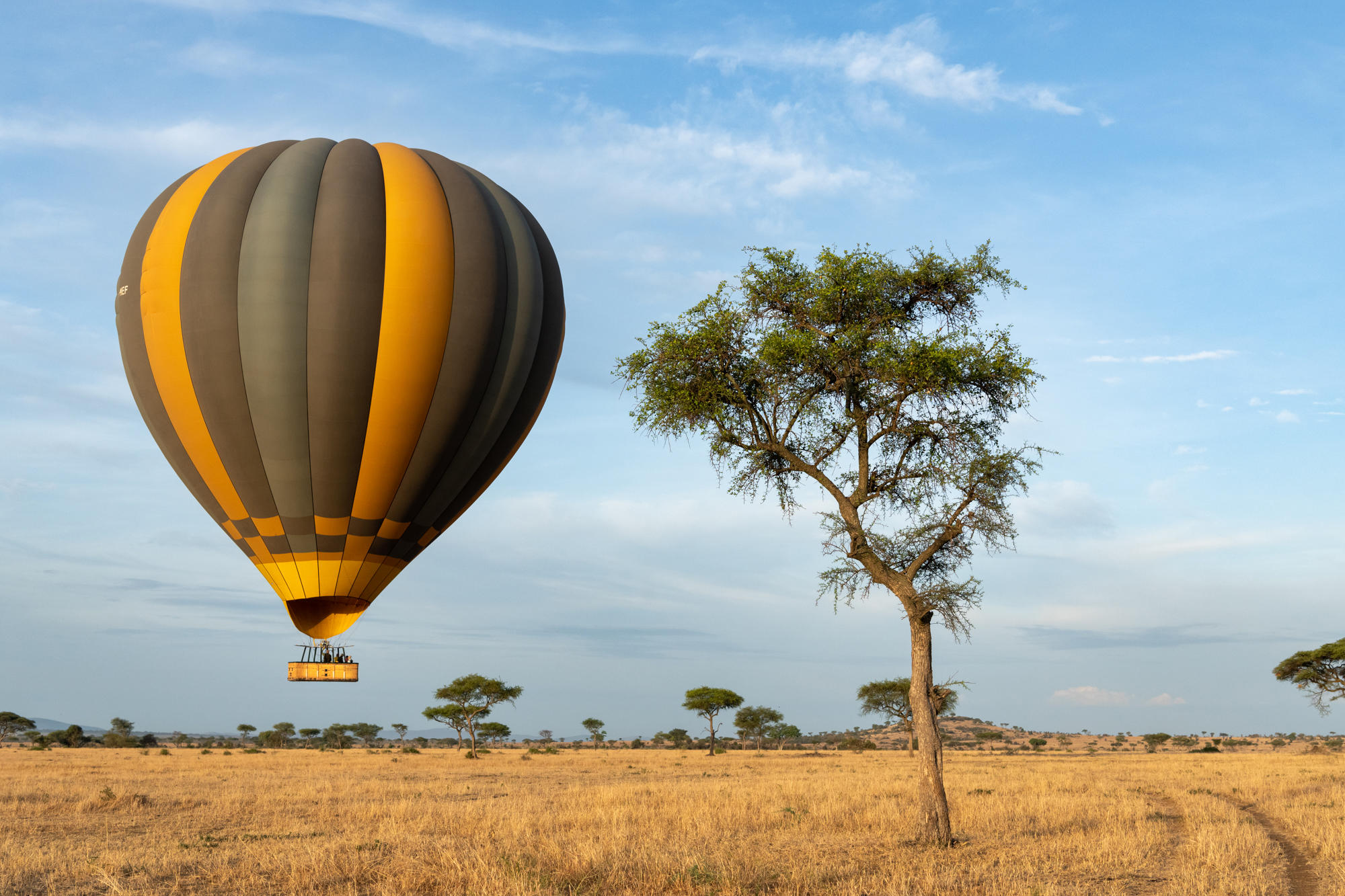 hot air balloon safari
