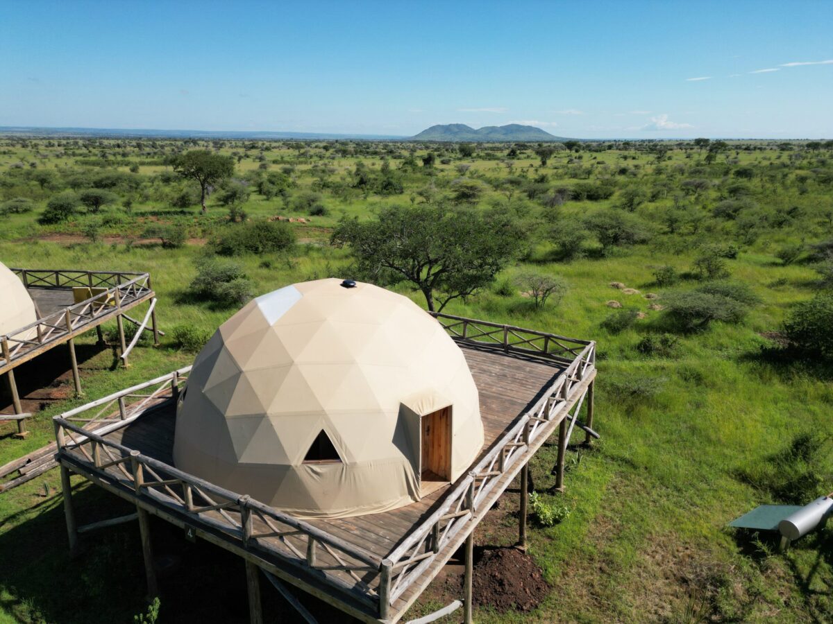 kuoom-serengeti- view kuuom serengeti view