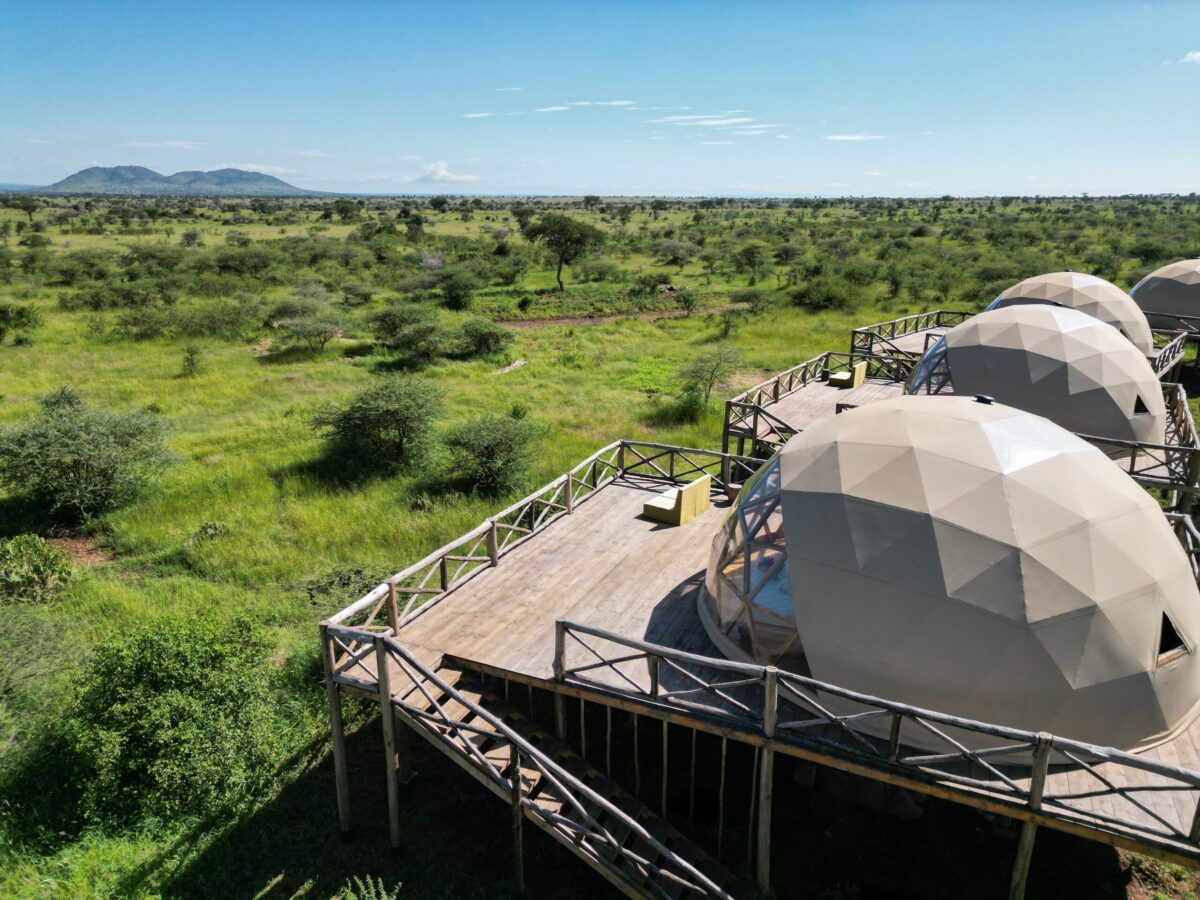 kuoom-serengeti – blessing-safaris kuoom serengeti best view on platform