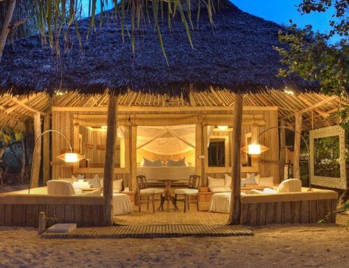 桑给巴尔蜜月旅行的7家顶级豪华酒店