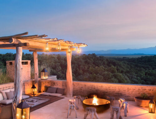 肯尼亚游猎之旅费用是多少？2026年价格指南及您需要了解的事项