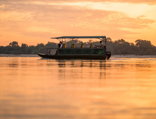 经济实惠的坦桑尼亚中档游猎费用：2026年预算指南